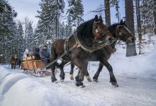 Kulig na Kubalonce zimą